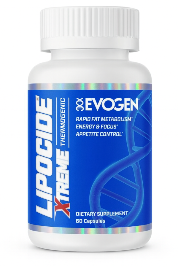 ChatGPT Image Nov 20, 2025, 06_24_29 PM